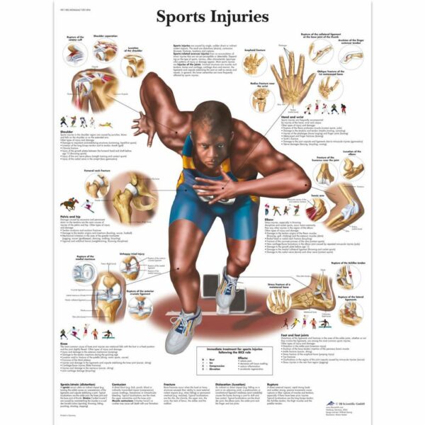 Poster Sport Injuries Chart gelamineerd