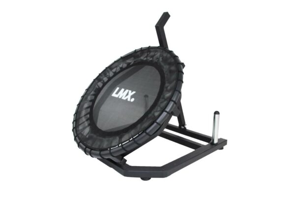 Medicineball rebounder