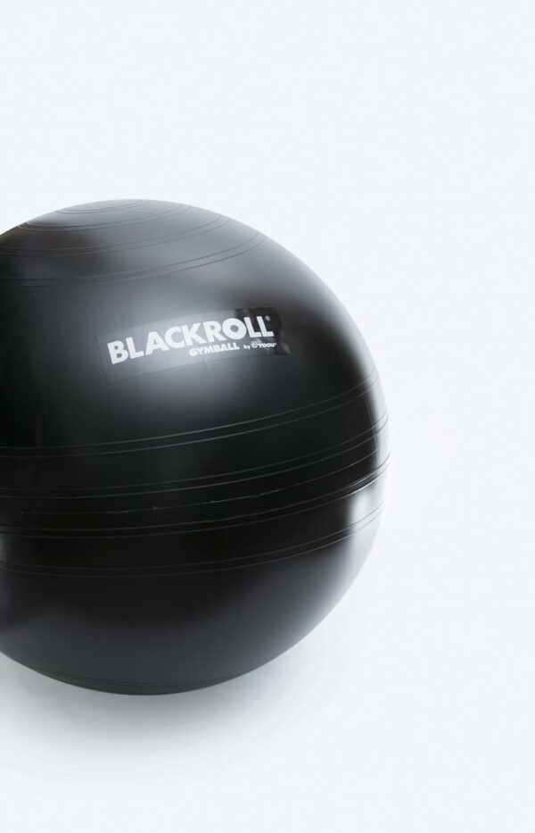 BLACKROLL Gymball 65