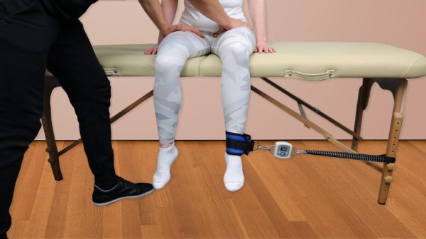 Meloq easy force Hip External Rotation Measure 2
