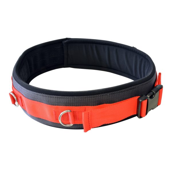 Desmotec Belt