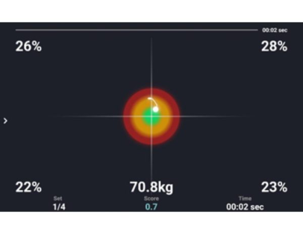 Desmotec D soft software 3